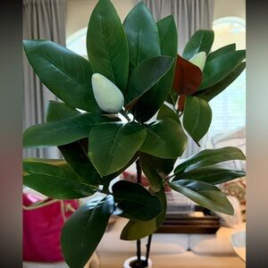 Artificial 2  Haven + Key Magnolia with Green Leaves sprays 33”